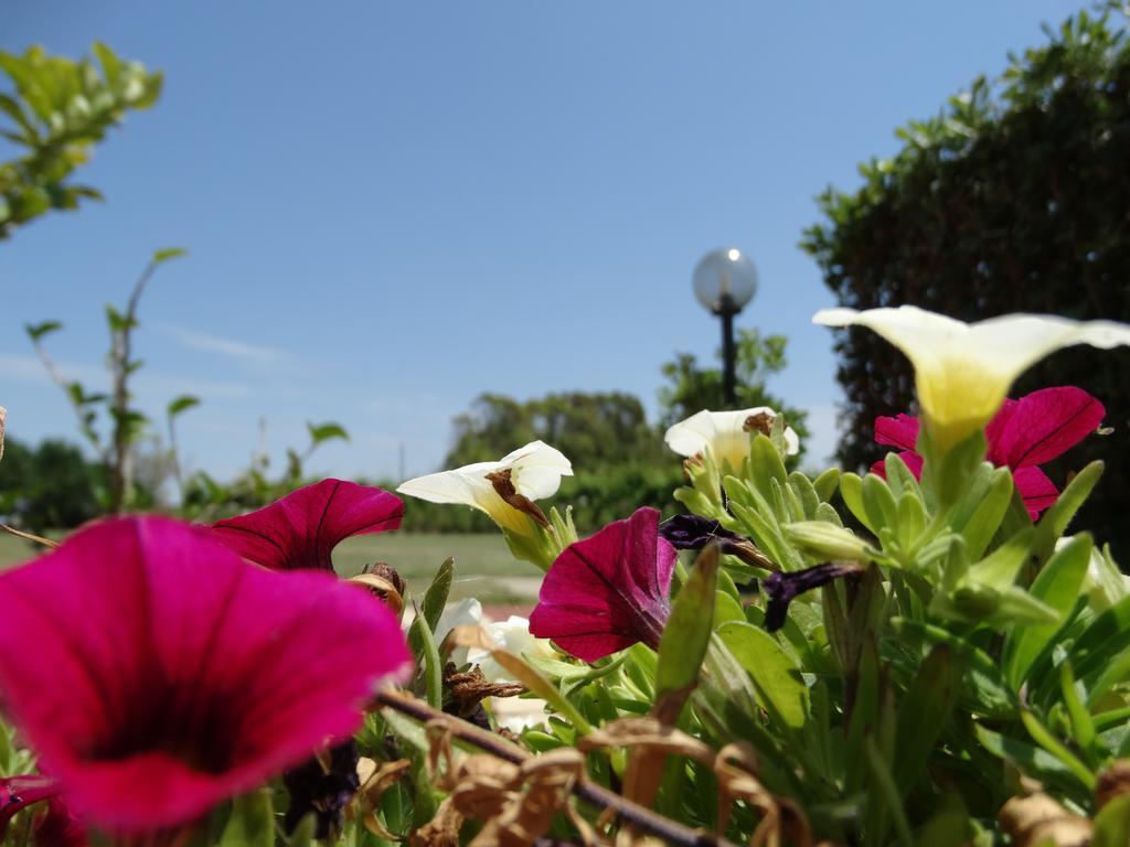 Il Pagio Bed & Breakfast Alghero Bagian luar foto